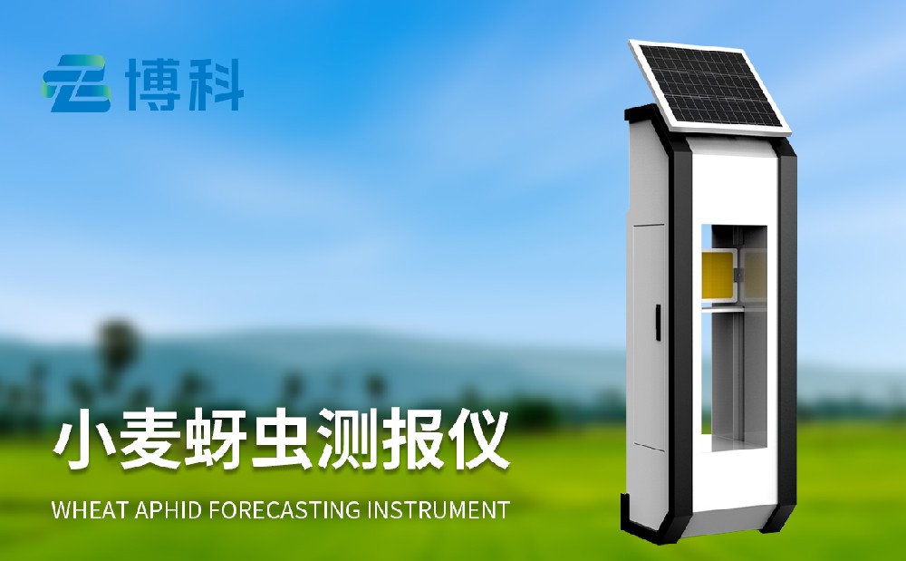 小麥蚜蟲監(jiān)測儀