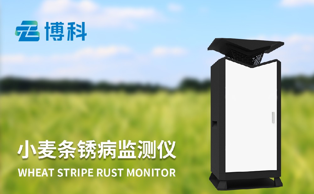 小麥條銹病監(jiān)測儀器守護小麥產(chǎn)量穩(wěn)定